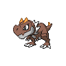 gumshoos
